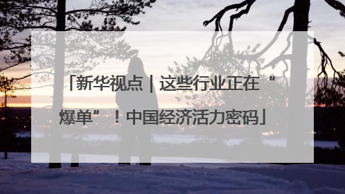 新华视点｜这些行业正在“爆单”！中国经济活力密码