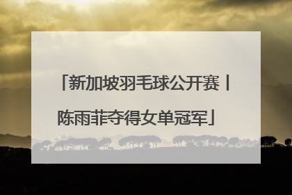 新加坡羽毛球公开赛丨陈雨菲夺得女单冠军