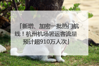 新增、加密一批热门航线！杭州机场暑运客流量预计超910万人次