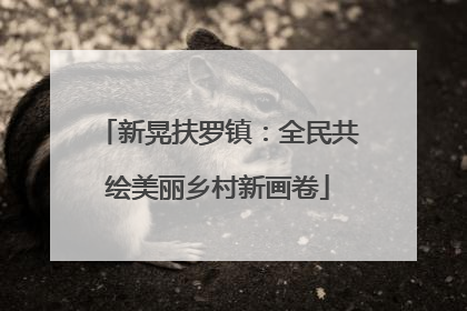 新晃扶罗镇：全民共绘美丽乡村新画卷