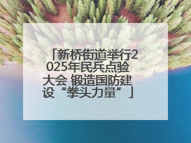 新桥街道举行2025年民兵点验大会 锻造国防建设“拳头力量”