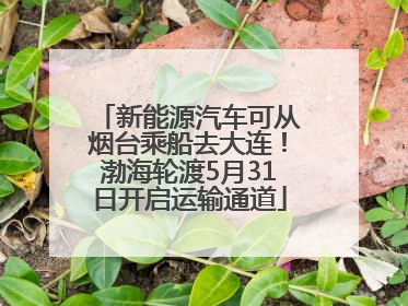 新能源汽车可从烟台乘船去大连！渤海轮渡5月31日开启运输通道