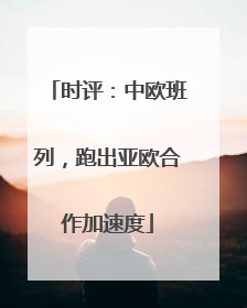 时评：中欧班列，跑出亚欧合作加速度