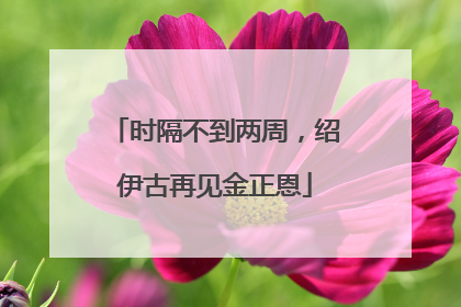 时隔不到两周，绍伊古再见金正恩