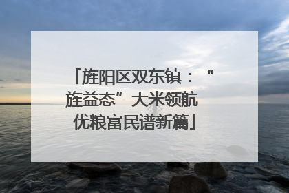 旌阳区双东镇：“旌益态”大米领航 优粮富民谱新篇