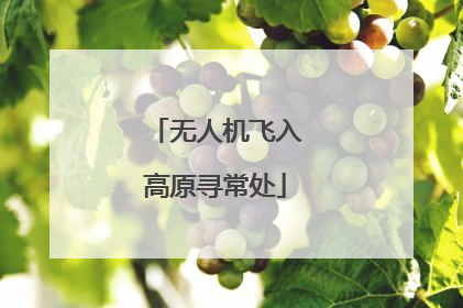 无人机飞入高原寻常处