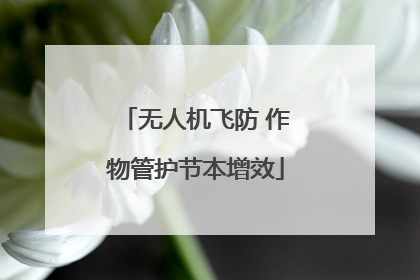无人机飞防 作物管护节本增效