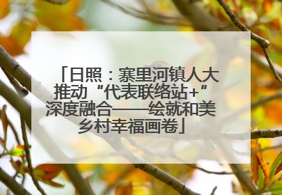日照：寨里河镇人大推动“代表联络站+”深度融合——绘就和美乡村幸福画卷