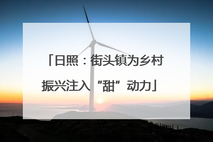 日照：街头镇为乡村振兴注入“甜”动力