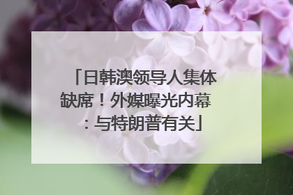 日韩澳领导人集体缺席！外媒曝光内幕：与特朗普有关