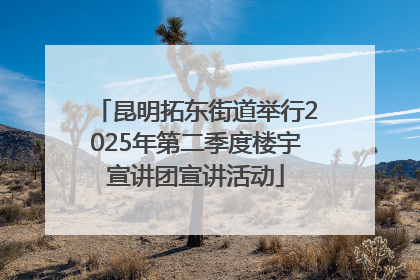 昆明拓东街道举行2025年第二季度楼宇宣讲团宣讲活动