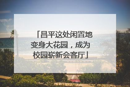 昌平这处闲置地变身大花园，成为校园崭新会客厅