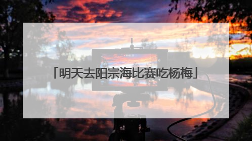 明天去阳宗海比赛吃杨梅