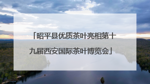 昭平县优质茶叶亮相第十九届西安国际茶叶博览会