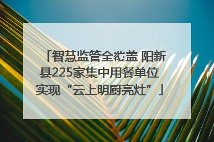 智慧监管全覆盖 阳新县225家集中用餐单位实现“云上明厨亮灶”