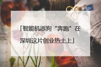 智能机器狗“奔跑”在深圳这片创业热土上