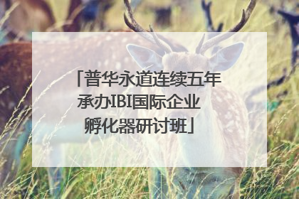 普华永道连续五年承办IBI国际企业孵化器研讨班
