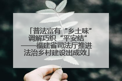 普法富有“乡土味” 调解巧织“平安结”——福建省司法厅推进法治乡村建设出成效
