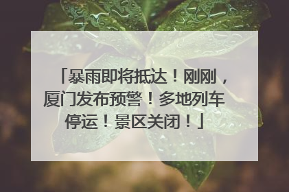 暴雨即将抵达！刚刚，厦门发布预警！多地列车停运！景区关闭！