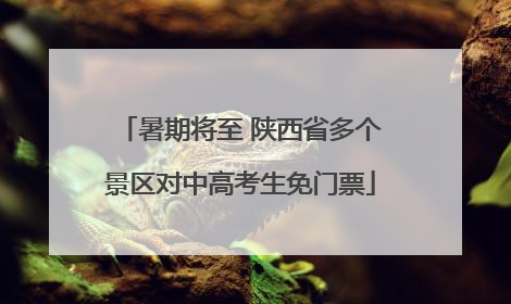 暑期将至 陕西省多个景区对中高考生免门票