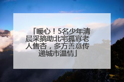 暖心！5名少年清晨采摘助北宅孤寡老人售杏，多方善意传递城市温情