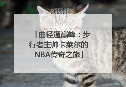 曲径通巅峰：步行者主帅卡莱尔的NBA传奇之旅