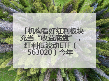 机构看好红利板块充当“收益底盘”，红利低波动ETF（563020）今年第2次分红来了