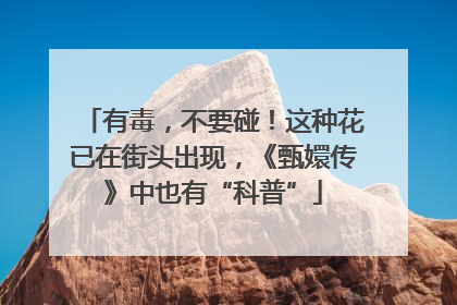 有毒，不要碰！这种花已在街头出现，《甄嬛传》中也有“科普”
