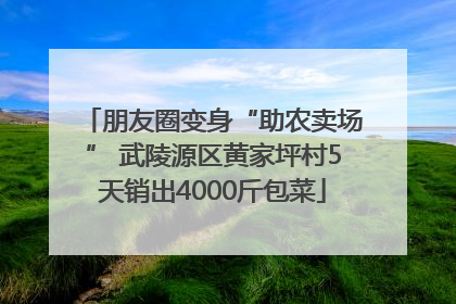 朋友圈变身“助农卖场” 武陵源区黄家坪村5天销出4000斤包菜