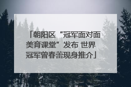 朝阳区“冠军面对面美育课堂”发布 世界冠军曾春蕾现身推介