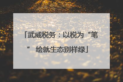 武威税务：以税为“笔” 绘就生态别样绿
