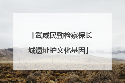 武威民勤检察保长城遗址护文化基因
