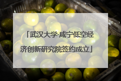 武汉大学·咸宁低空经济创新研究院签约成立