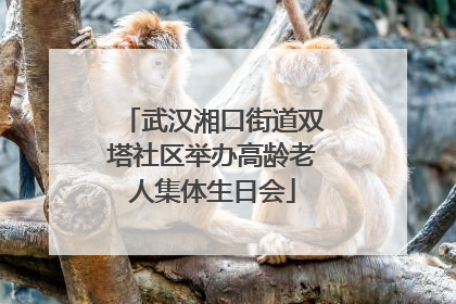 武汉湘口街道双塔社区举办高龄老人集体生日会