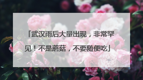 武汉雨后大量出现，非常罕见！不是蘑菇，不要随便吃