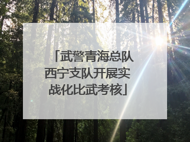 武警青海总队西宁支队开展实战化比武考核