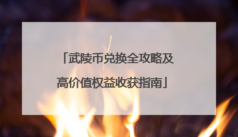 武陵币兑换全攻略及高价值权益收获指南