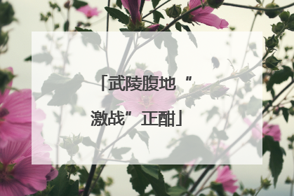 武陵腹地“激战”正酣