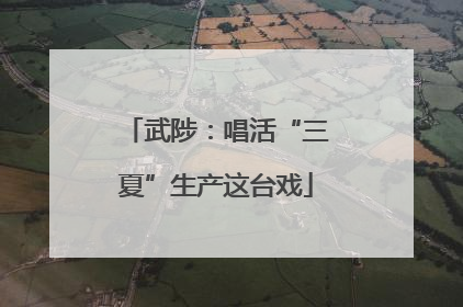 武陟：唱活“三夏”生产这台戏