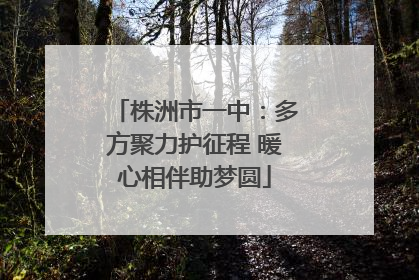 株洲市一中：多方聚力护征程 暖心相伴助梦圆