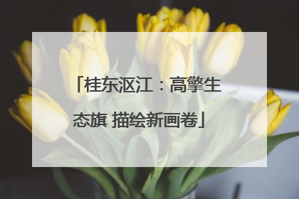 桂东沤江：高擎生态旗 描绘新画卷