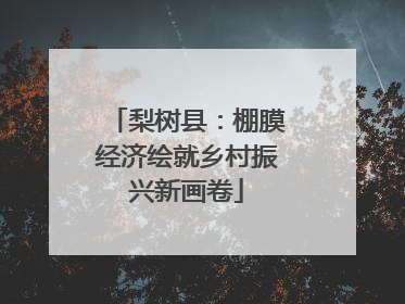 梨树县：棚膜经济绘就乡村振兴新画卷