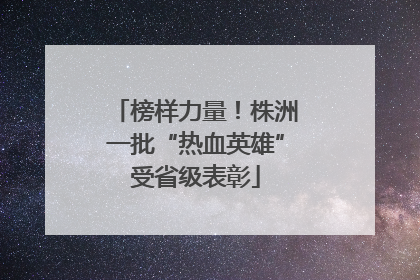 榜样力量！株洲一批“热血英雄”受省级表彰