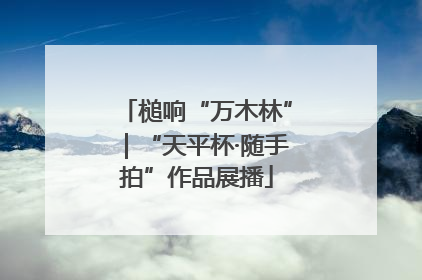 槌响“万木林”｜“天平杯·随手拍”作品展播
