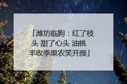 潍坊临朐：红了枝头 甜了心头 油桃丰收季果农笑开颜