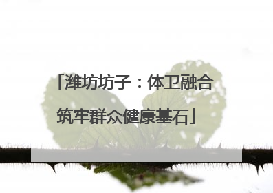 潍坊坊子：体卫融合筑牢群众健康基石