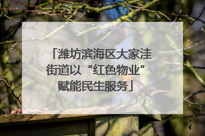 潍坊滨海区大家洼街道以“红色物业”赋能民生服务