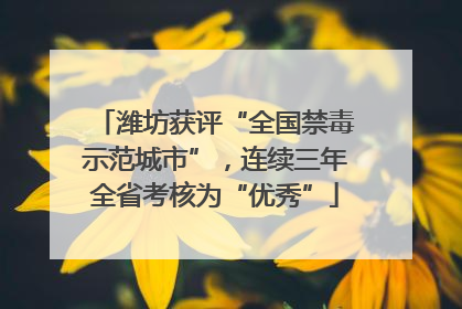 潍坊获评“全国禁毒示范城市”，连续三年全省考核为“优秀”