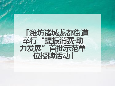 潍坊诸城龙都街道举行“提振消费·助力发展”首批示范单位授牌活动