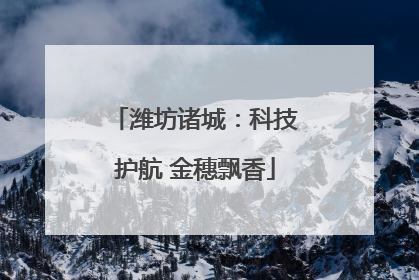 潍坊诸城：科技护航 金穗飘香